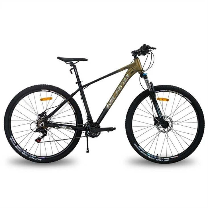 Hardtail Mountain Bike in China