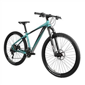 29 Nti Alloy Alloy Roob Tsheb tuam