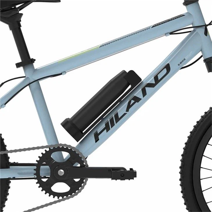 Customized Electric City Bike