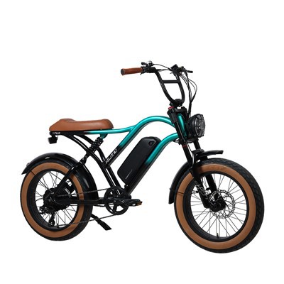 Tsheb Tsav Tsheb 48V 500W Alloy Suspension Fork Fat E-Bike