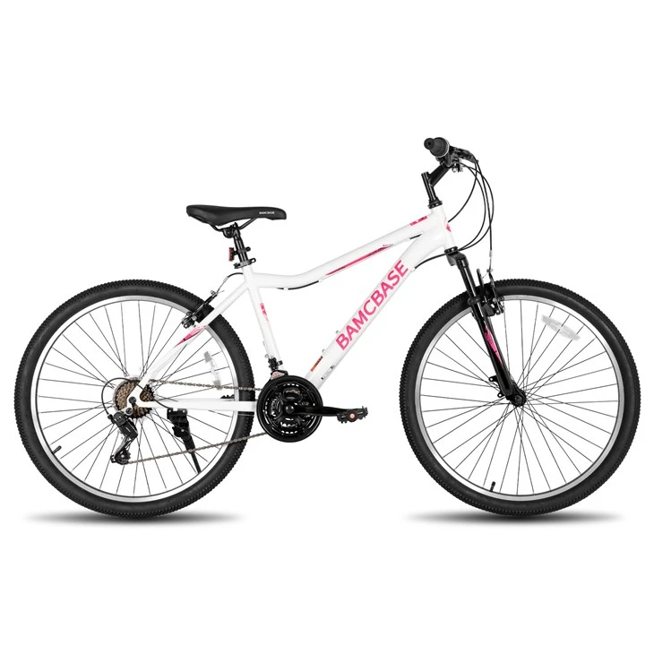 26 Inch Womens And Mens Mountain Bike, 21 Speed Steel Frame Adult Bicycle, MTB Bikes With Suspension Fork, Purple Green White