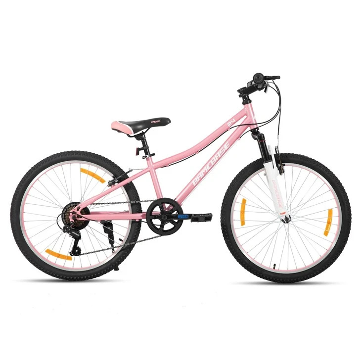 JOYKIE HILAND High Quality 24 Inch 7 Speeds Steel Double V- Brake Mountain Bike Bicycle For Adult best