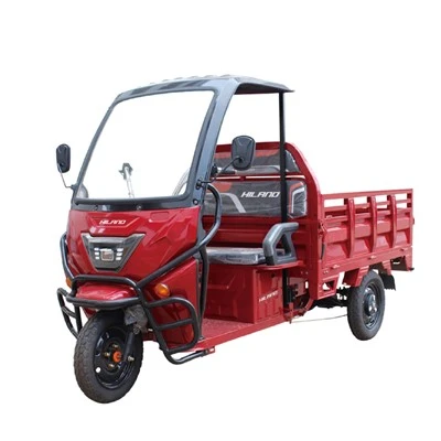 1200W / 2000W Electric Freight Tricycle