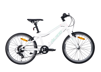 20 "MTB Alloy FRAME SHIMANO SHIFTER AIR TIRE