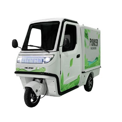 2500W Electric Tricycles 3 Log Electric Cargo Bike